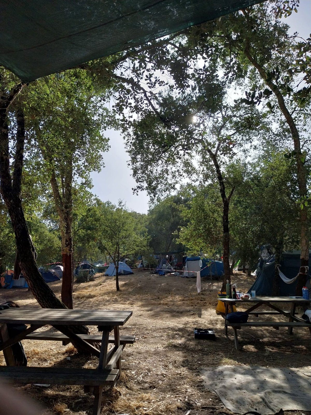 O campismo entre sobreiros, com mesas de piquenique à sombra e tendas ao fundo.