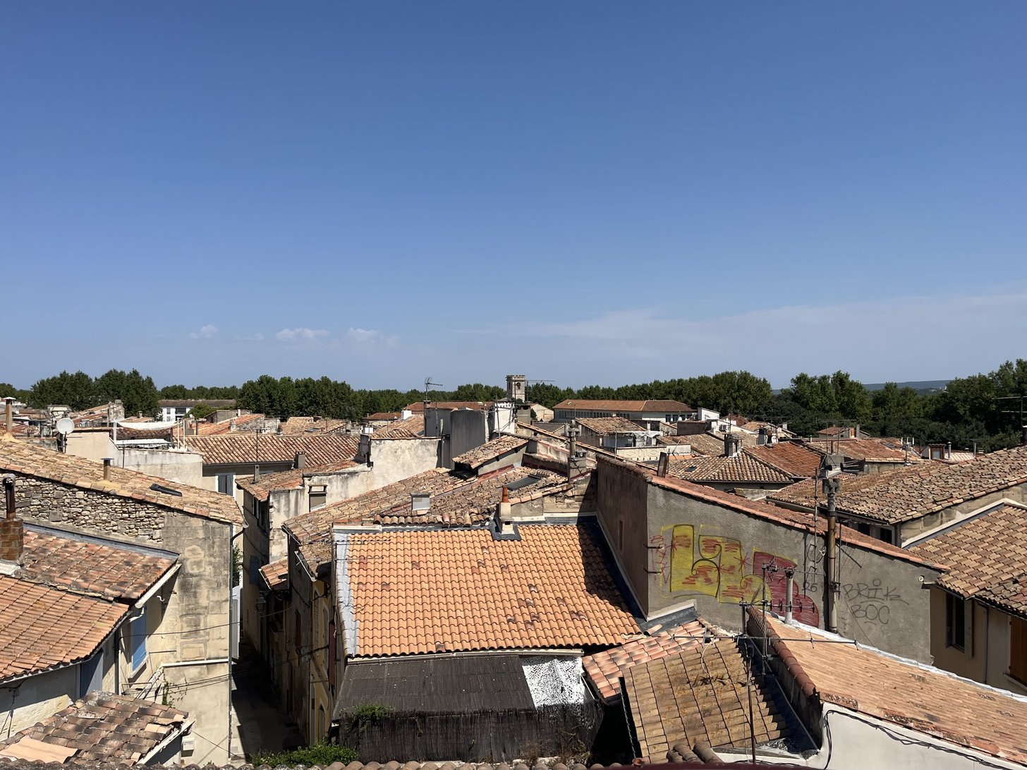 Os telhados de Arles vistos de cima, com as árvores no horizonte.